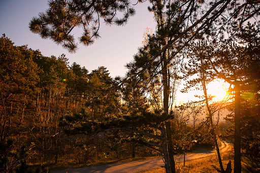 Wandercoaching I Kranichfeld I Dipl.- Psych. Gabriele Eisentraut