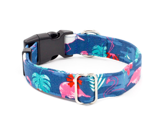 Caninus Collars - Visual