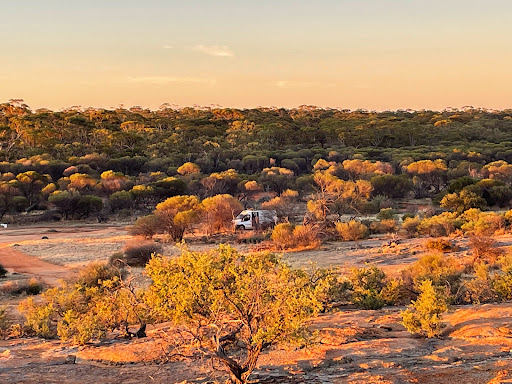 Goldfields Woodlands National Park - Thumbnail