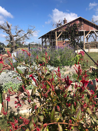 Windmill Meadow Flower Farm - Thumbnail