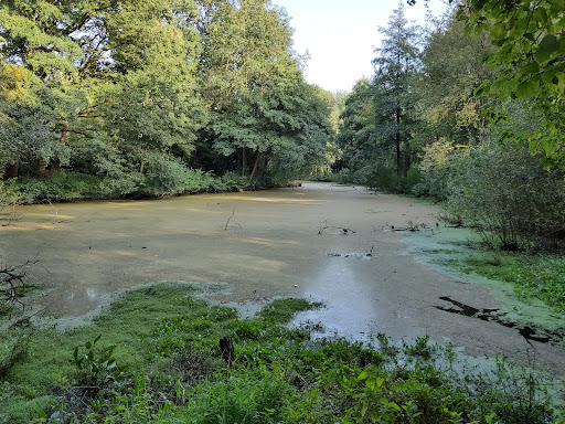 Gartentorteich - Thumbnail