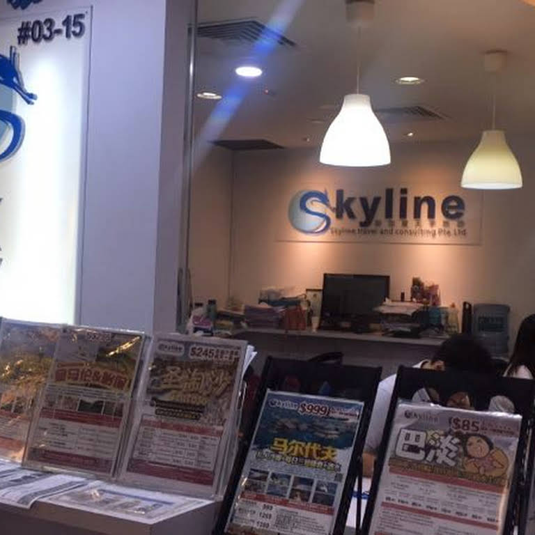 skyline international travel pte ltd