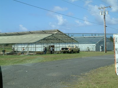 University of Hawaii at Hilo, experimental ag farm