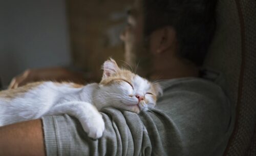 Caring Pathways - Thumbnail