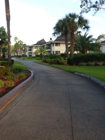 Photos of Saddlebrook Resort