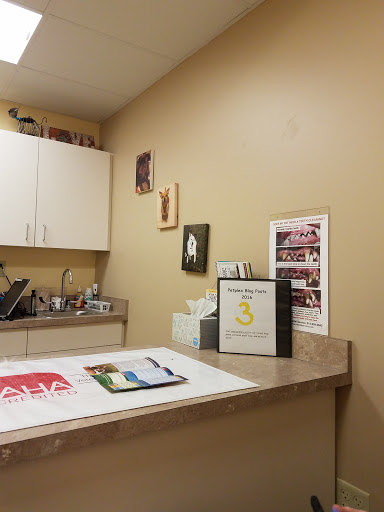PetPlex Animal Hospital Gallery - United States