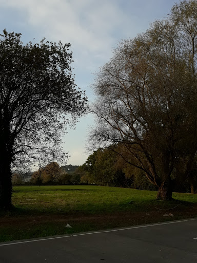 Zona De Parking