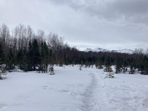 Baxter Bog Park - Thumbnail
