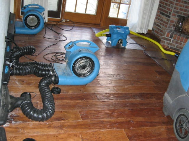 EcoTech photo