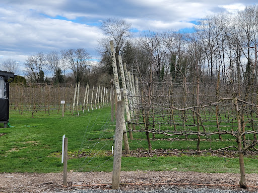 Cockrell Hard Cider - Thumbnail