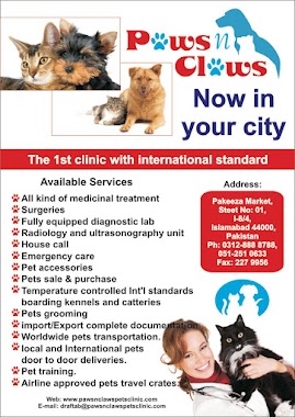 Paws N Claws Pets Clinic Islamabad, Author: Paws N Claws Pets Clinic Islamabad