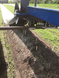 Photo n°4 de VERGERS DU BUISSON à Baugé-en-Anjou (Agriculteur)