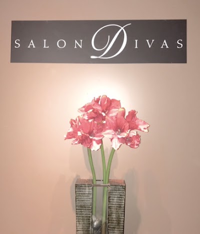 Salon Divas