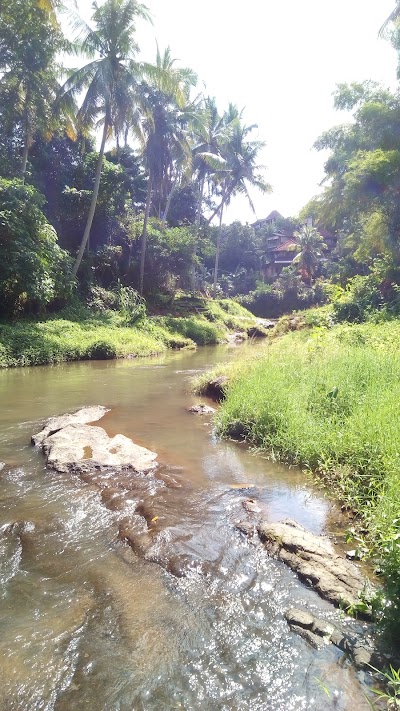Photos of Bali Spirit Spa