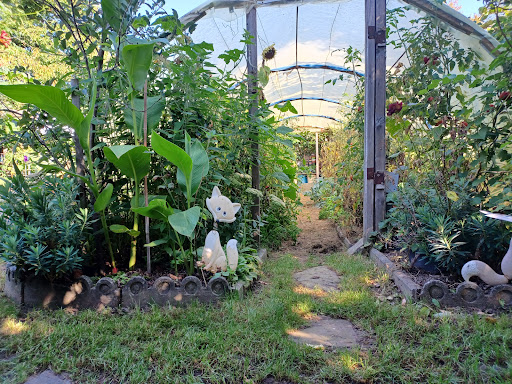 Le jardin de Céline et Pascal Gallery - France
