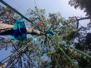 Photo n°18 de A la croisée des Arbres à Saint-Affrique (Service d'élagage)