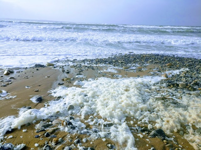Strandhill Beach