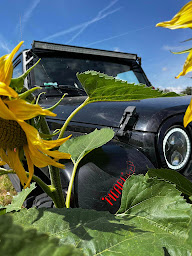 Photo n°3 de Picard Jeep à Maignelay-Montigny (Association bénévole)