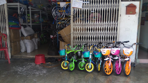 HENGLONG BIKE & ELECTRONIC 兴隆脚车