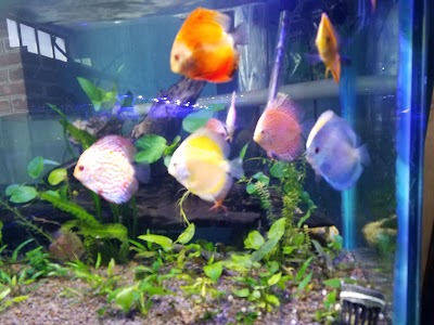 Photos of Acuario Mundo Exotico