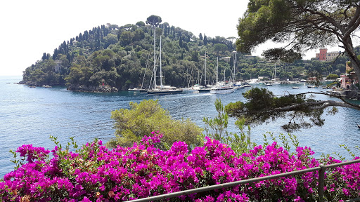 Liguria in Taxi - Thumbnail
