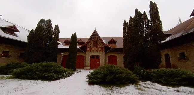 Cifra Istálló és Kocsimúzeum - Múzeum