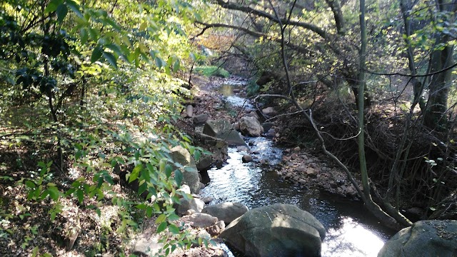 Melville Koppies Nature Reserve