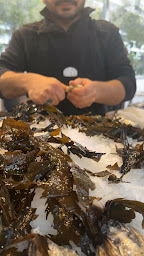 Photo n°44 de Pierrot Coquillages Kiosque, Restaurant, Livraison de fruits de mer & Poissons à Marseille (Marché aux poissons et fruits de mer)