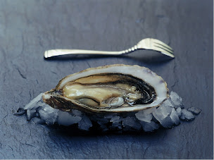 Photo n°24 de Le Comptoir Saint Kerber à Tours (Restaurant de fruits de mer)