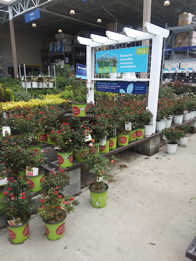 Hartsville Mall Shopping Center - Thumbnail