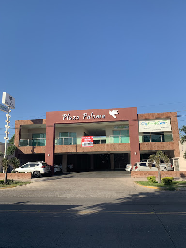 Plaza Paloma
