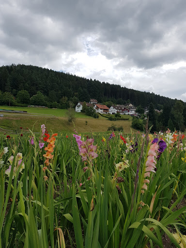 S-Bahn Haltestelle Heselbach