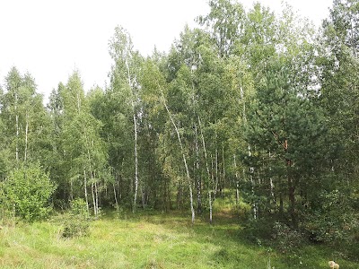 Photos of Strausinaya Ferma