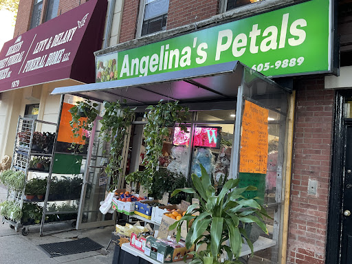Angelina's Petals Gallery - United States