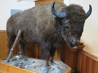 Yellowstone Gateway Museum