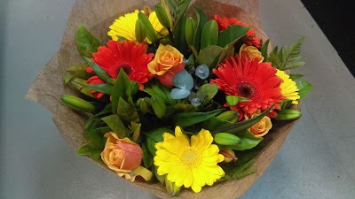 Photos of Momento Magico Flowers