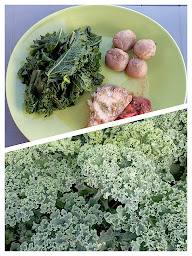 Photo n°9 de Earl la Bergerie à L'Île-d'Yeu (Magasin)