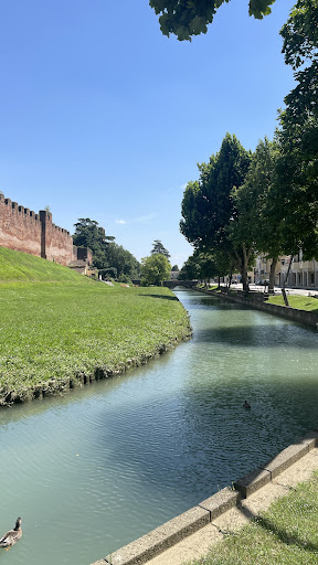 Vecchia catapulta - Visual