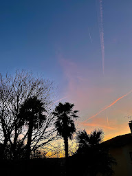 Photo n°8 de Yoga By Lea à Saint-Nauphary (Professeur de yoga)