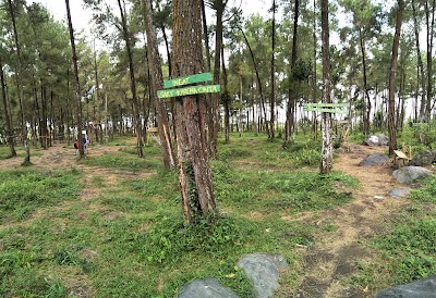 Photos of Situs Candipuro