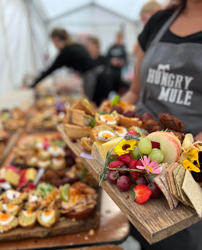 Hungry Mule - Visual