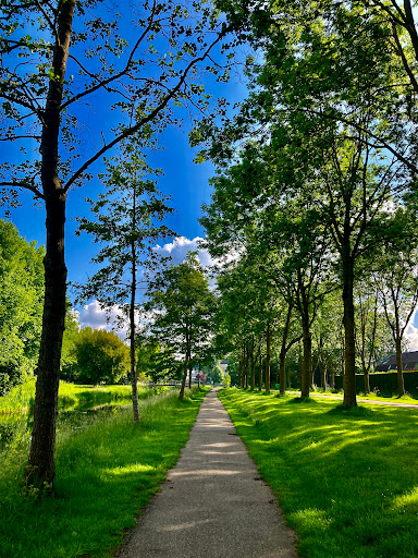 Imkerspark - Visual