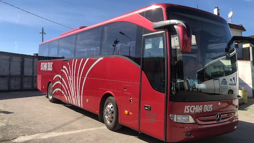 Ischia Bus srl