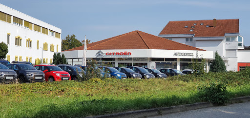 auto domicil Wild Reutlingen GmbH - Thumbnail