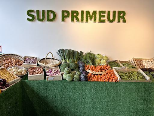 Commerces Deschamps Belvédère Gallery - France