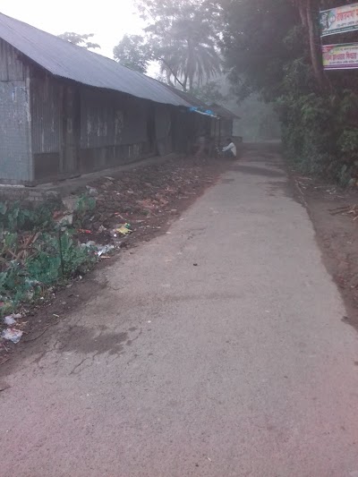 Photos of Popular Area Market