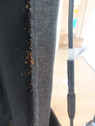 Photo n°6 de Eden Vert 3D 13 ️ Lutte contre les Nuisibles à Saint-Rémy-de-Provence (Service d'extermination des nuisibles)