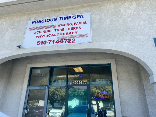 Precious Times Spa Logo