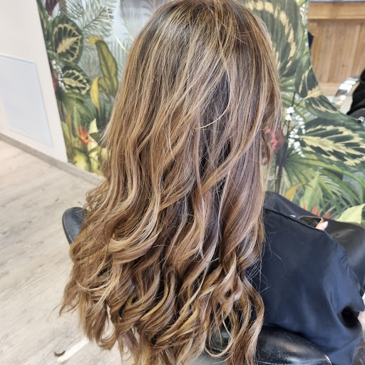 July Coiffure - Thumbnail