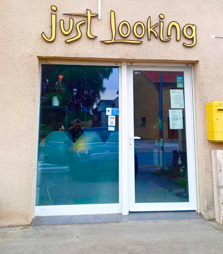 Just Looking - Visual